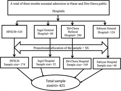 Birth asphyxia, determinants, and its management among neonates admitted to NICU in Harari and Dire Dawa Public Hospitals, eastern Ethiopia